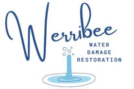 Water damage in your home or business. Local service. Trusted provider